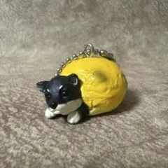 Item thumbnail for item 8c4e834b-2b9a-4c50-bb9f-fe9a2e231294