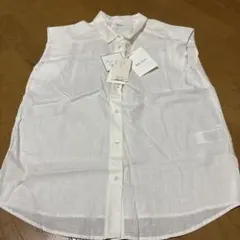 Item thumbnail for item 673bcd3a-dfc0-4d20-b70a-5884512641c8