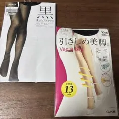 ASTIGU 、GUNZE 黒 ストッキング L～LL