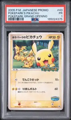 PSA鑑定品　ポケパークのピカチュウ　psa1　匿名発送