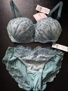 チュチュアンナ 運命のブラ ノンワイヤー E65