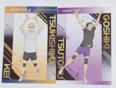 ハイキュー アニメイト購入特典 ポストカード 月島蛍