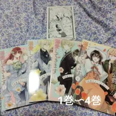 「きみを愛する気はない」と言った次期公爵様がなぜか溺愛してきます 1巻〜4巻