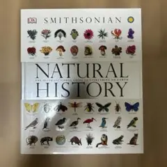 Still Life・A HISTORY・Sybille Ebert・洋書・大型 - メルカリ