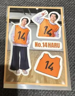 超特急RiBステッカーシートハル