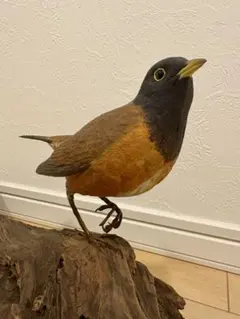 木製　バードカービング　アカコッコ 野鳥彫刻　木彫りの野鳥 木製 バードカービング アカコッコ 野鳥彫刻 木彫りの野鳥 - メルカリ