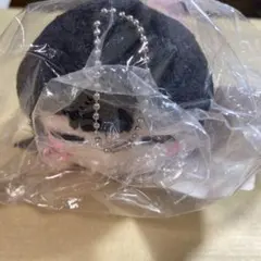 2026年最新】黒澤ダイヤ 寝そべりの人気アイテム - メルカリ