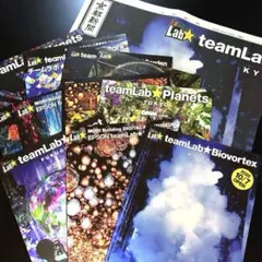 チームラボ京都　teamLab Biovortex Kyoto パンフレット