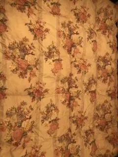 西川リビング 羽毛肌掛け布団 DR14 175×210 セミダブルロング - メルカリ