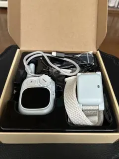 Item thumbnail for item 7d4c3420-7fd1-48e7-95a1-13751f58a4f3