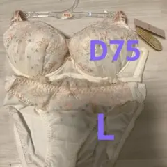 D75新品タグ付き チュチュアンナ トキメキブラ ブラショーツ Lのサムネイル