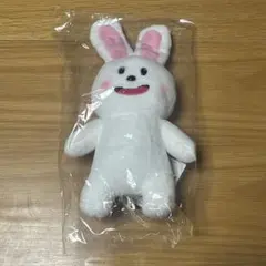 ミニティーン セブチ チェチェリー スンチョル エスクプス ぬいぐるみ