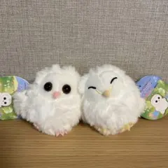 メンフクロウのめめたん　LMC　全2種　コンプリートセットのサムネイル