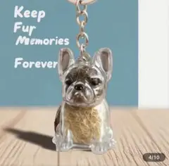 犬の毛 ボトル カプセル けだま メモリアル キーホルダー ケース フレンチ