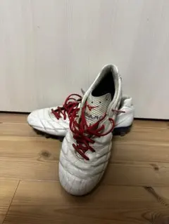 Item thumbnail for item af0f7705-65ae-451c-ba61-b74064042795