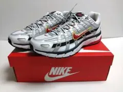 【NIKE】P-6000