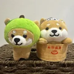 【大分県】 旅するマメしば 2体セット