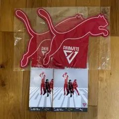 千葉ジェッツPUMA ORIGINAL FOAM FINGER