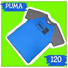 PUMA（プーマ） シャツ 120