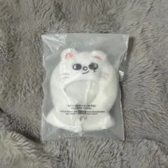 straykids スキズ ジニレット ヒョンジン skzoo ペンミ