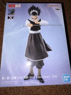 【新品・未開封！】BANDAI DXF-飛影-30th Anniversary