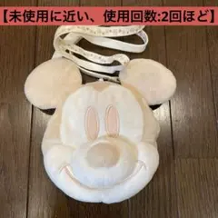 ミッキーマウス　パスケース　冬仕様
