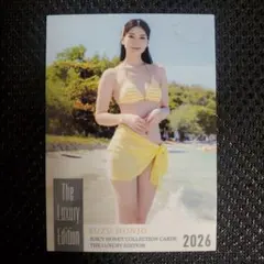 新品 ジューシーハニー THE LUXURY EDITION 2026 - メルカリ
