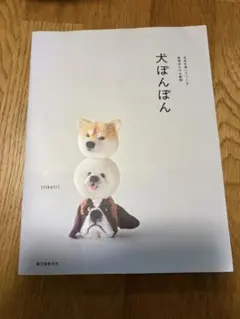 犬ぽんぽん 道具セット trikotri 羊毛フェルトのサムネイル
