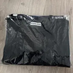 未開封　カウラム　天竺リバーシブル　TEE sizeL