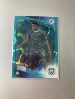 topps chrome ucc ドク マンチェスターシティ 299シリ