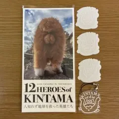 フルセット（送料込み