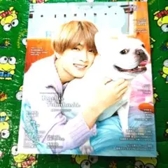 高橋恭平表紙POTATO 2022年12月