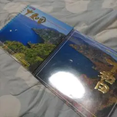 Item thumbnail for item 31b1b0b4-41ff-45a6-abed-ed7511724c96