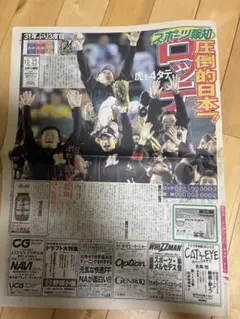 大谷翔平 日本ハムファイターズ 道新スポーツ新聞 2016年5月23日
