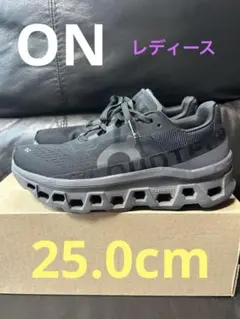 【美品】On Cloudmonster クラウドモンスター25cmのサムネイル