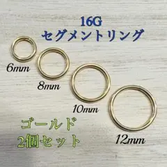 16G ゴールド2個セットセグメントリング フープ リング ピアス ボディピアス