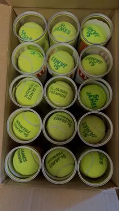 KENKO BALL ソフトテニスボール 100周年記念モデル - メルカリ