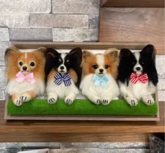 ☆様　犬　パピヨン羊毛フェルト額縁入り