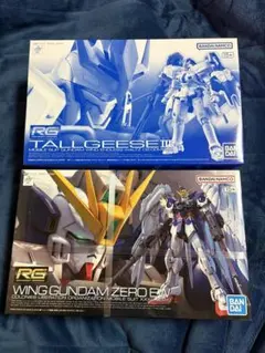 RG 1/144 ガンプラ 2点セット