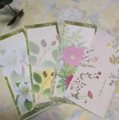 花柄カード 4枚セット