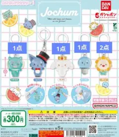 JOCHUM めじるしアクセサリー1 4種5点