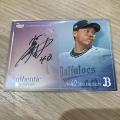 Item thumbnail for item 910c3fd2-bf26-4bf1-a0ad-e37187740465