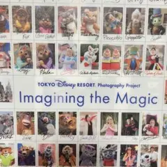 ディズニーリゾート　イマジニングザマジック 実写　サイン　クリアファイル