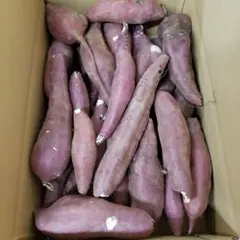 サツマイモ 茨城県産 紅あずま 箱含む5キロのサムネイル