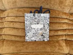 Dior 紙袋 ショッパー ボタニカル柄