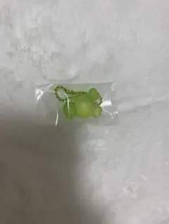 twice ジョンヨン グミチャーム (ジョンブリー)