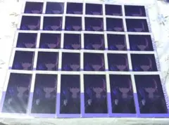 プロセカ まふゆ 生存逃走 16C エピカ 30枚セット