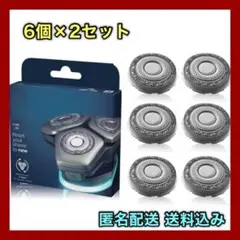 ナノスピード9000　TypeS 2本セット ナノスピード9000 TypeS 2本セット バドミントンラケット