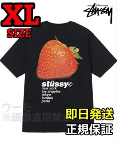 STUSSY STRAWBERRY 半袖 Tシャツ 黒 XL☆ステューシー