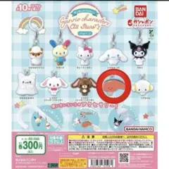 サンリオ　めじるしアクセサリー